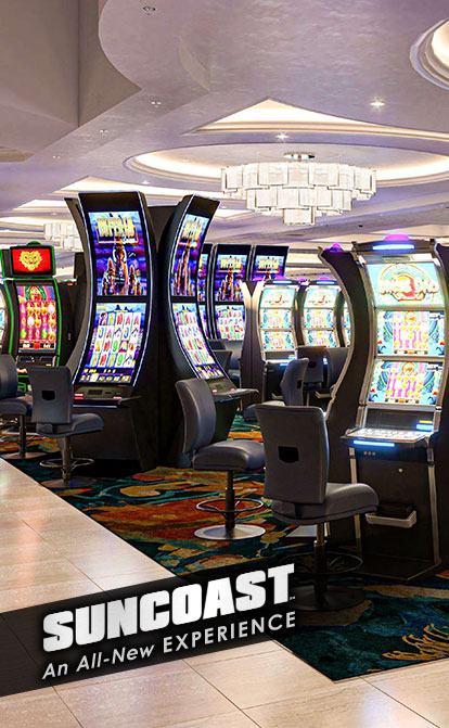 Suncoast all-new experience