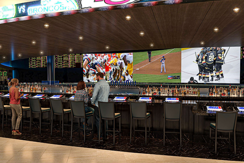 suncoast sportsbook bar